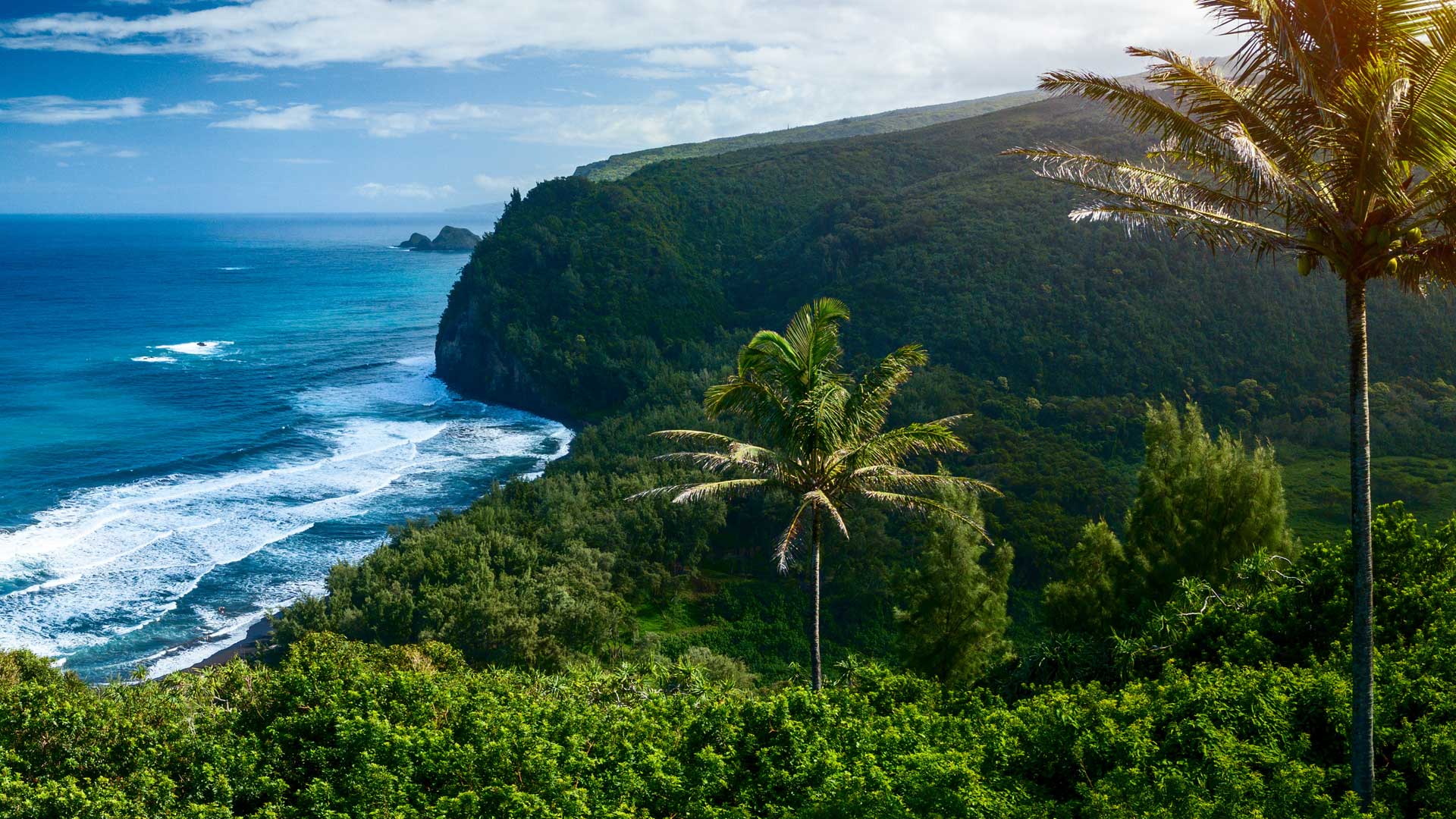 Landscape image of mountain cliffs filled with green terrain and palm trees next to a bright blue ocean and crashing waves with blue sky.
