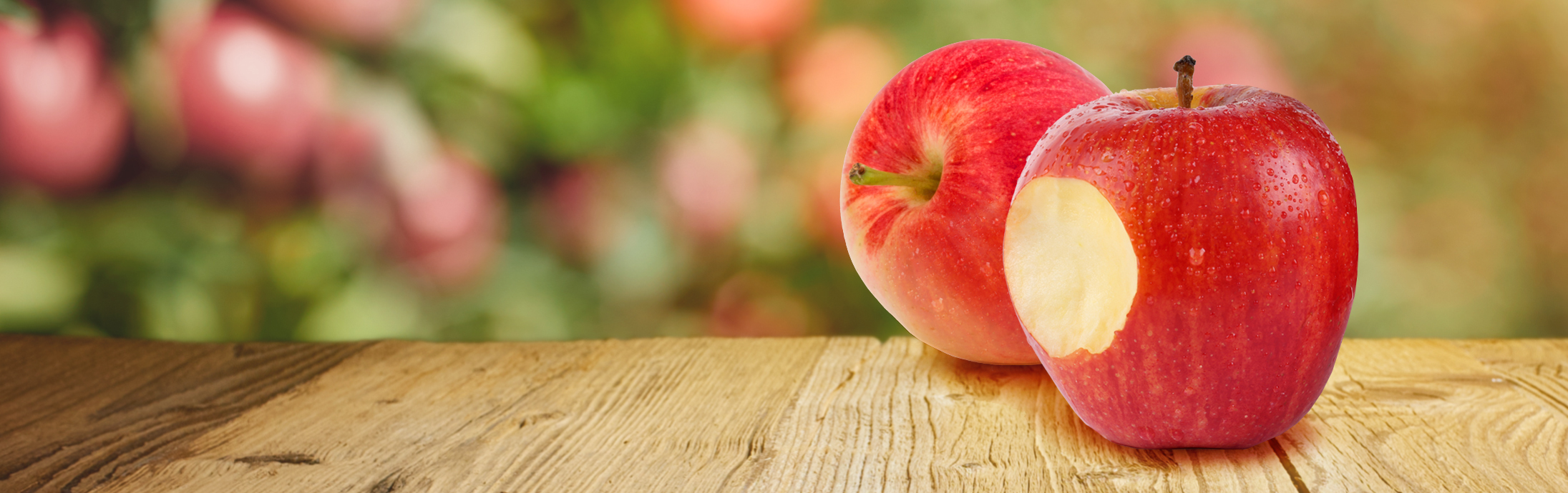 The Sweeter One | Aristotle